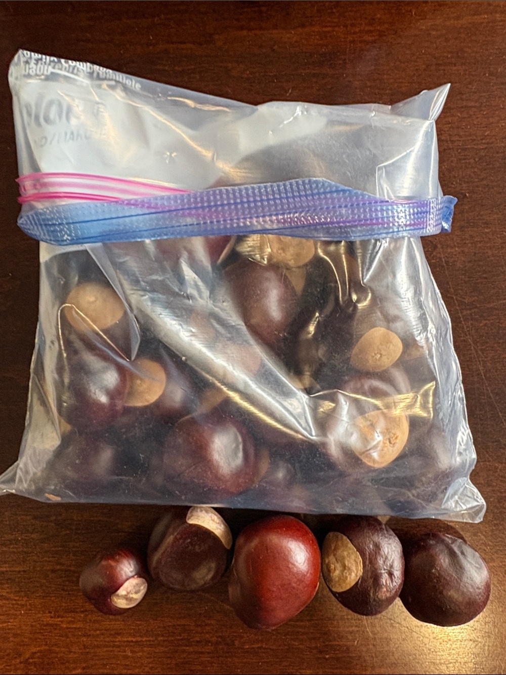 Bag of buckeyes. 35 plus a tiny one. Used for crafting or decor.